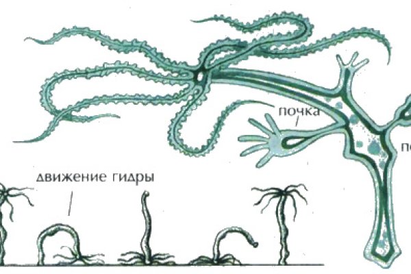 Кракен тор браузер