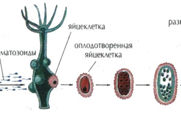 Активная ссылка на кракен